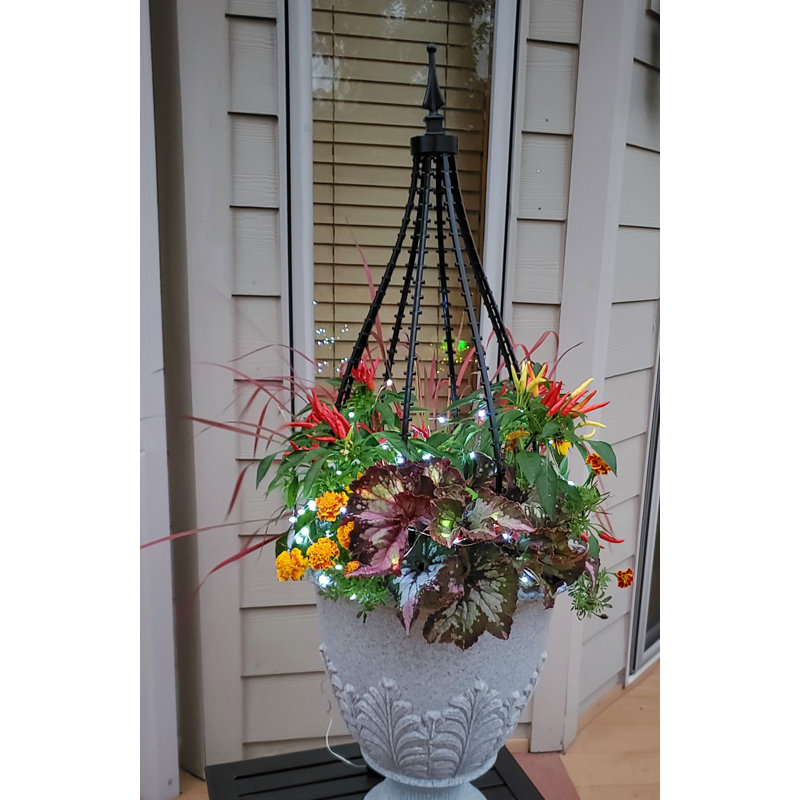 Scroll Trellis Decorative Plant Supports and Accessories includes Solar
